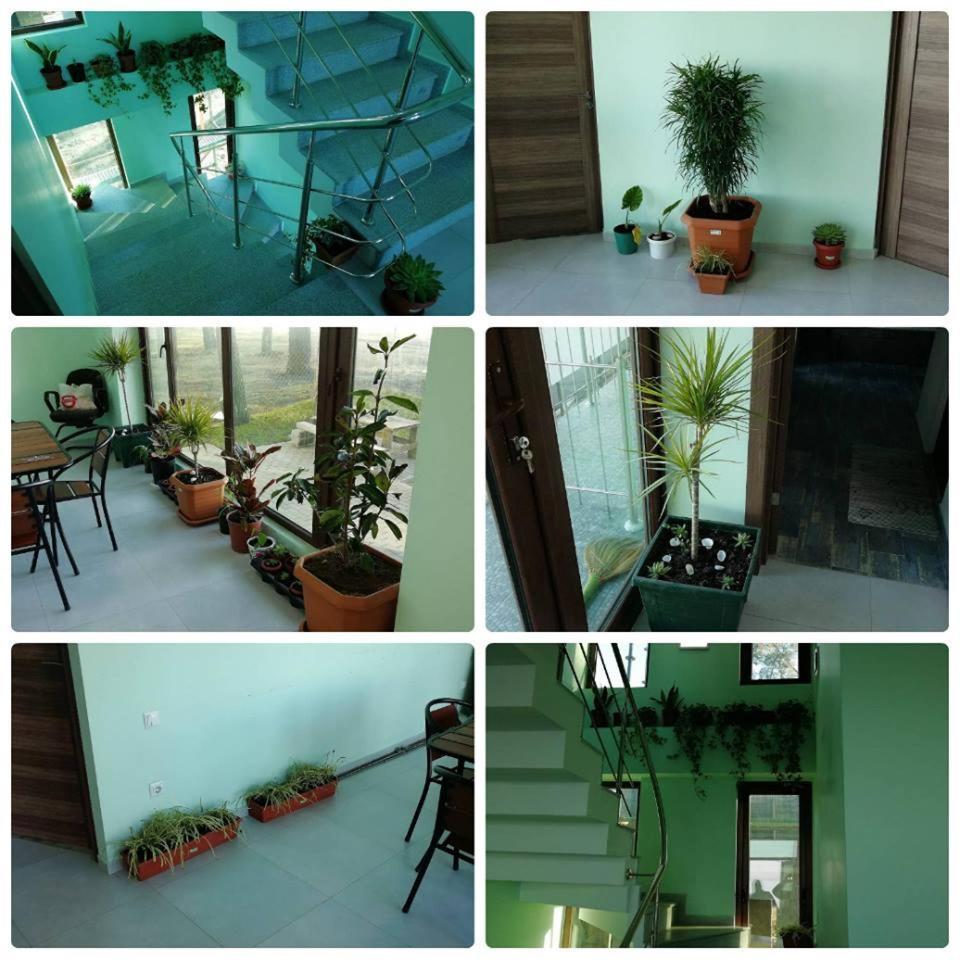 Shekvetili Green House Bagian luar foto