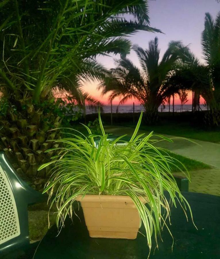 Shekvetili Green House Bagian luar foto
